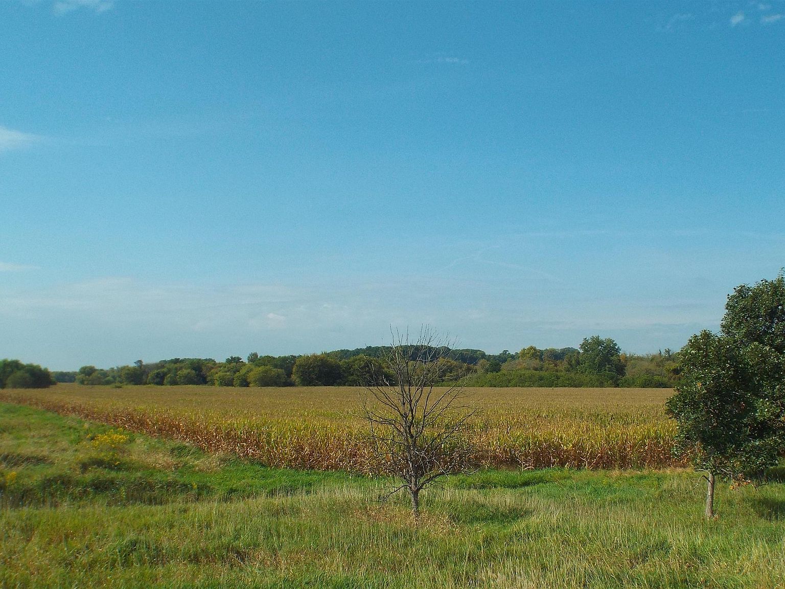 State Route 26 N Orangeville, IL 61060 - Thumbnail 3