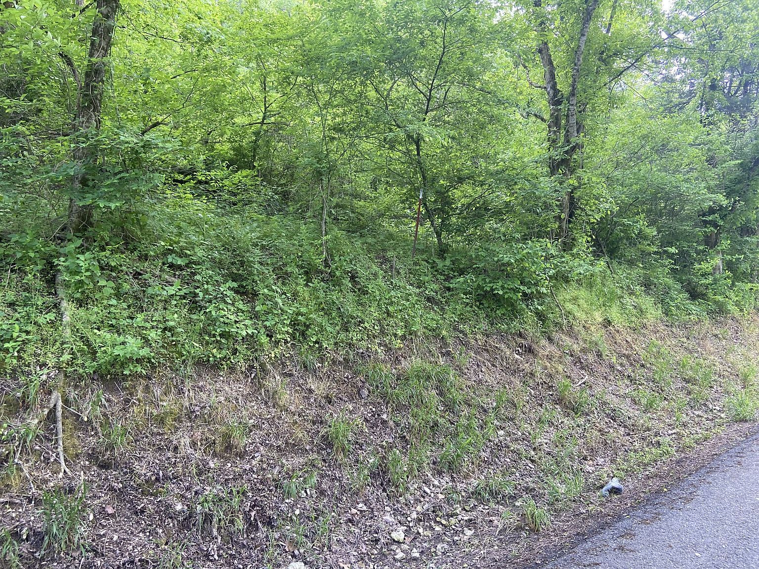 0 Possum Trott Rd Shelbyville, TN 37160 - Thumbnail 3