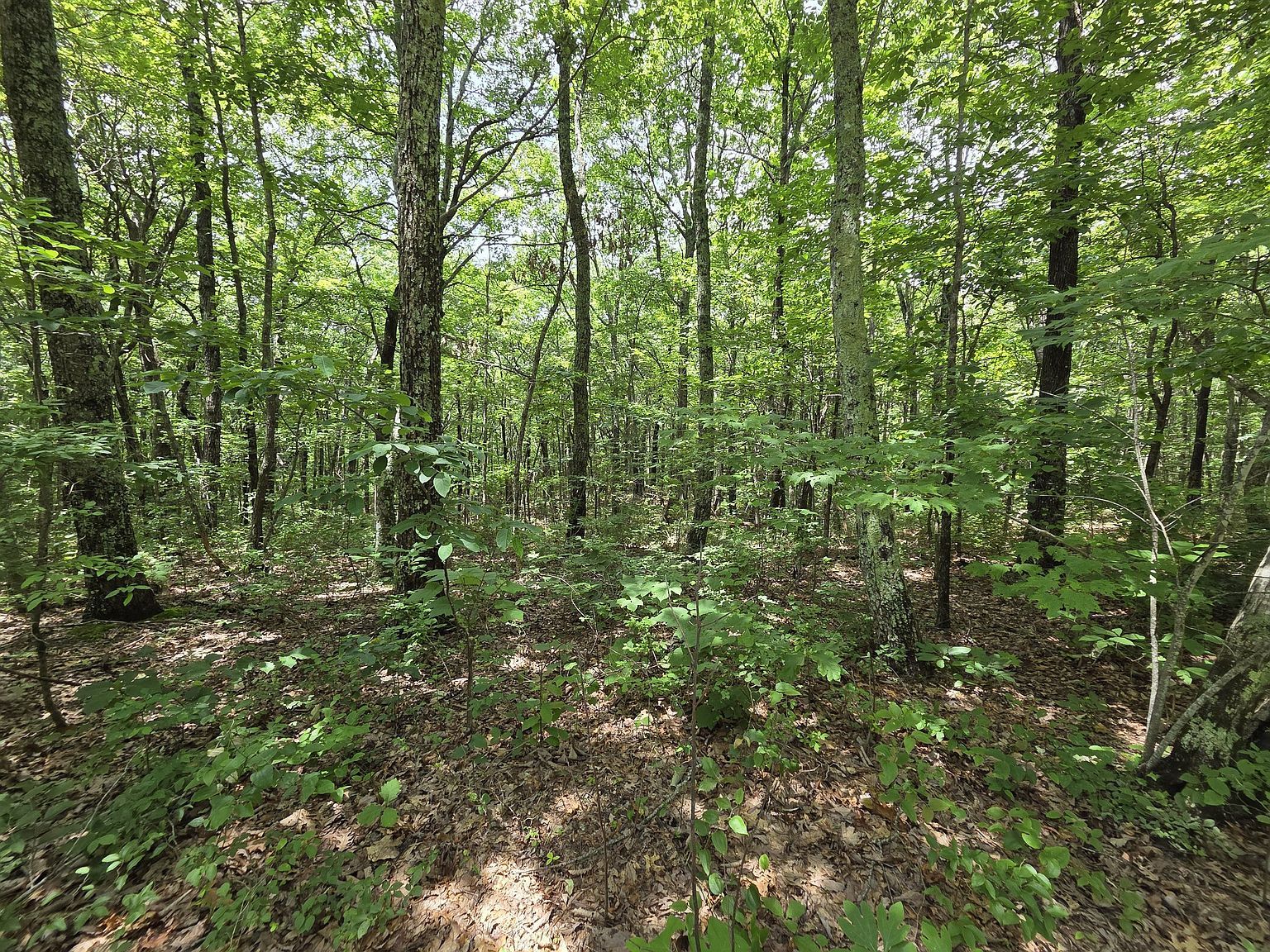 0 Blumont Dr Altamont, TN 37301 - Thumbnail 3