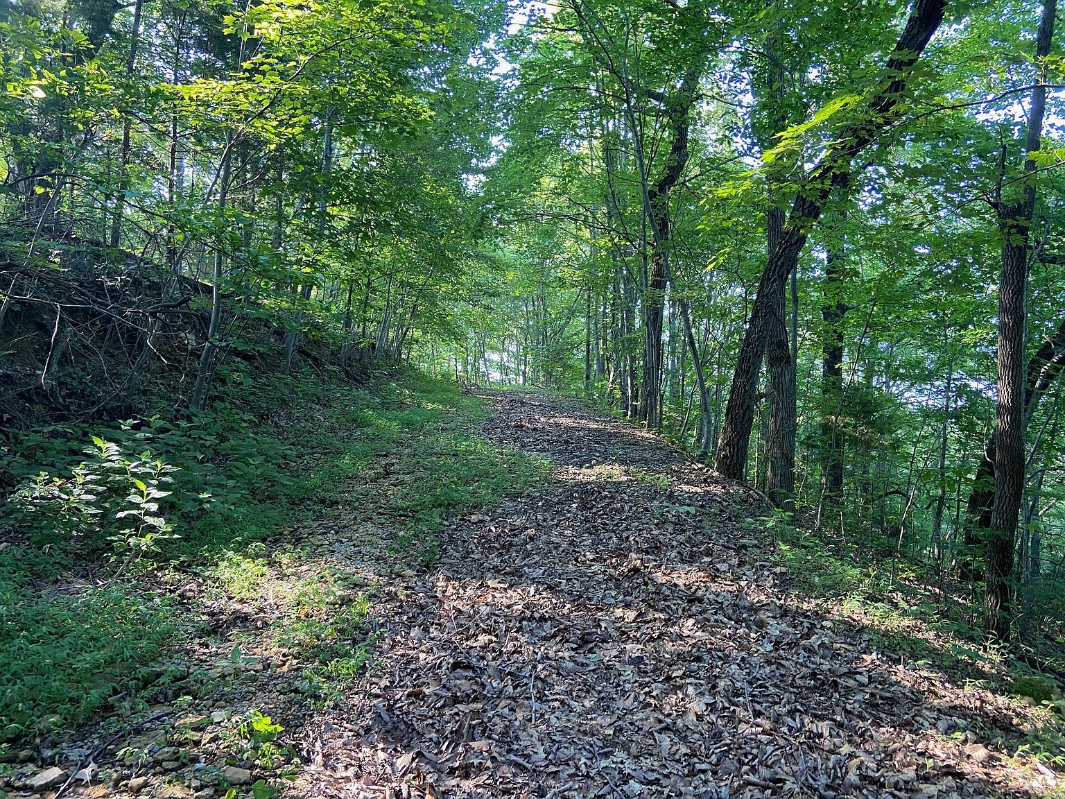 3147 Dale Ridge Rd Dowelltown, TN 37059 - Thumbnail 3