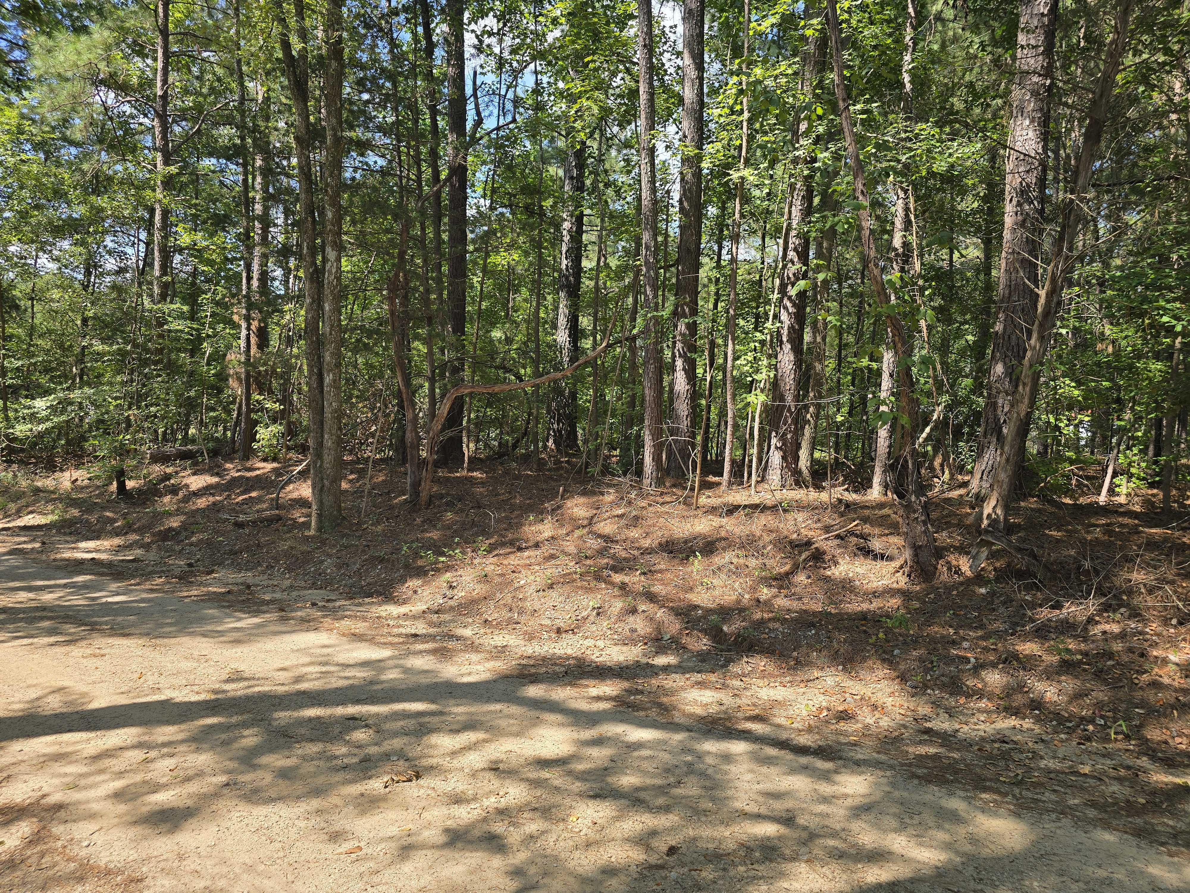 15 Dyches Road, Grovetown, GA, USA, 30813 - Thumbnail 3