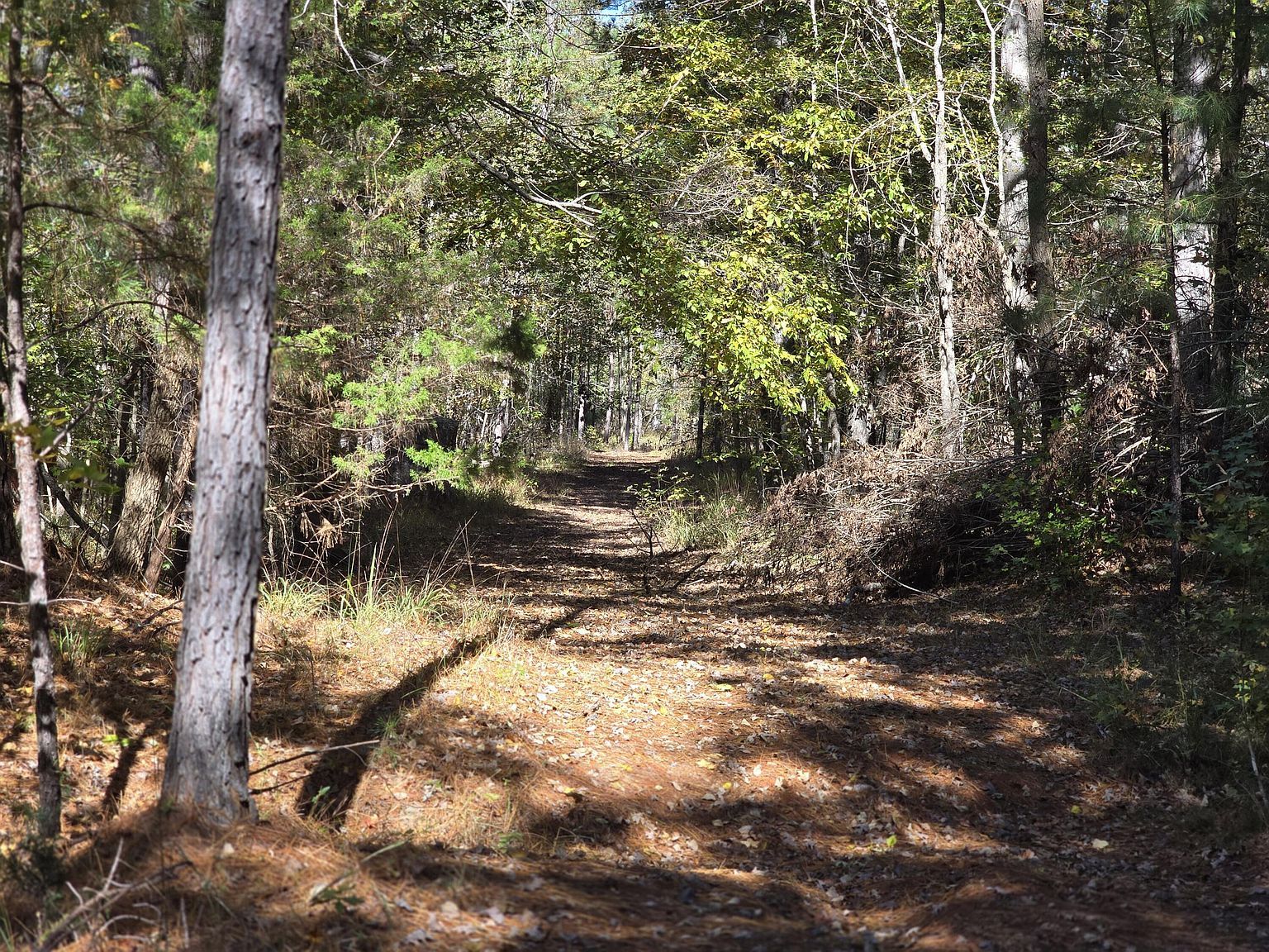 7501 Rainey Morris Rd Appling, GA 30802 - Thumbnail 2