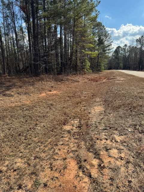 101 Antlers Trail, Hephzibah, GA, USA, 30815 - Thumbnail 3