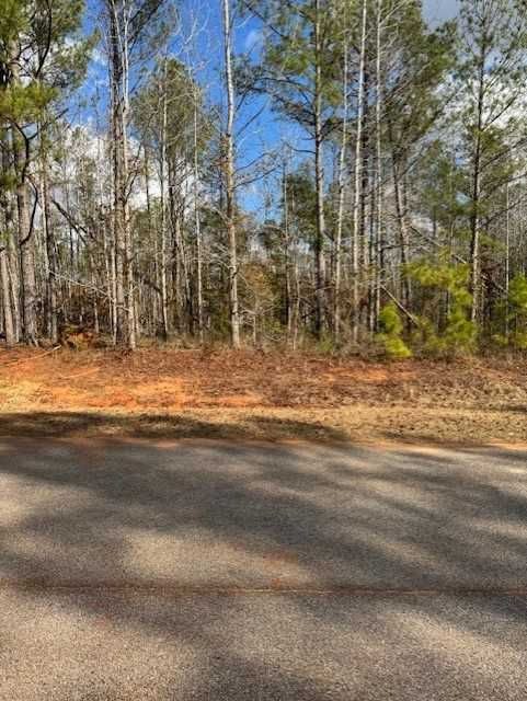 103 Antlers Trail, Hephzibah, GA, USA, 30815 - Thumbnail 3