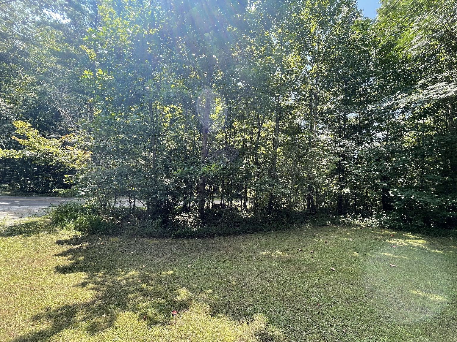 123 Limekiln Rd Erin, TN 37061 - Thumbnail 3