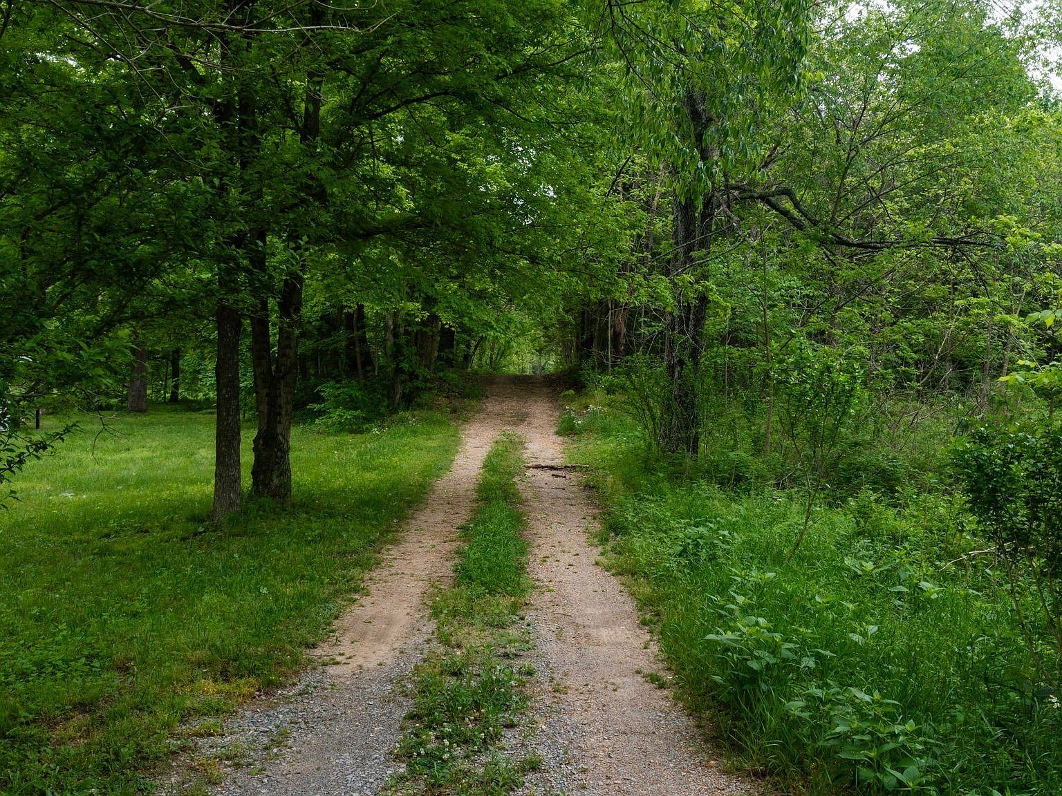 2100 Highway 13 Erin, TN 37061 - Thumbnail 3