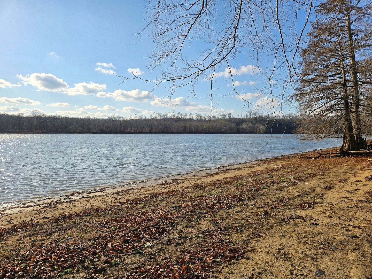 403 Hardin Bottom Rd LOT 148 Clifton, TN 38425 - Thumbnail 3