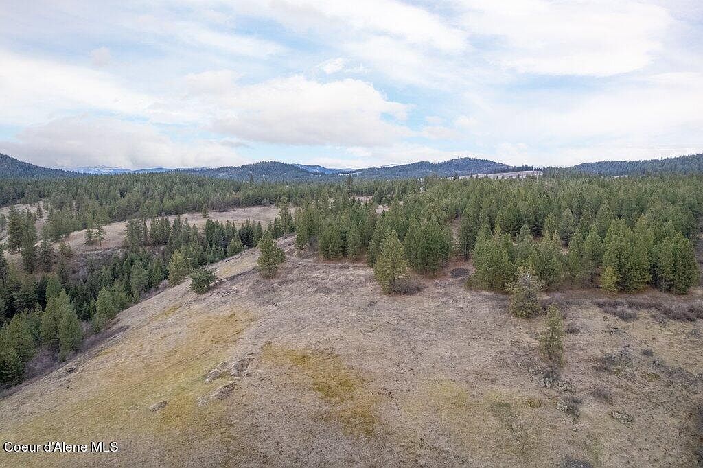 LOT 3C Brimstone Ln Saint Maries, ID 83861 - Thumbnail 3