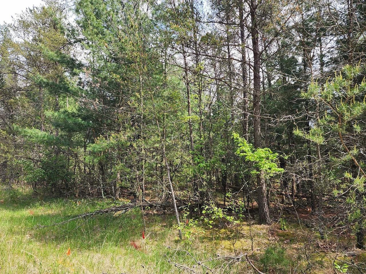LOT 303 Cypress Dr Arkdale, WI 54613 - Thumbnail 3