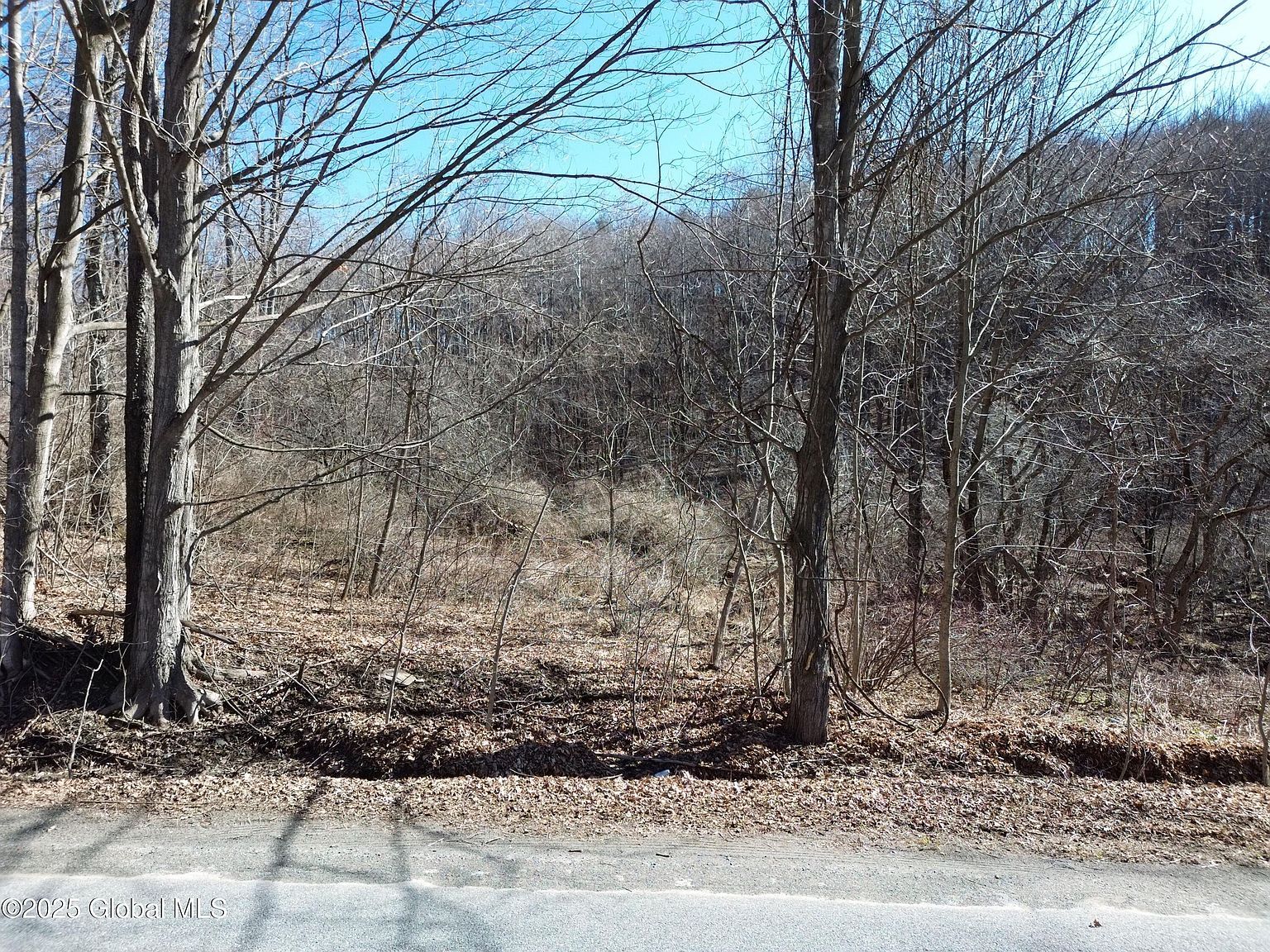 L22 Ryan Rd Greenwich, NY 12834 - Thumbnail 3