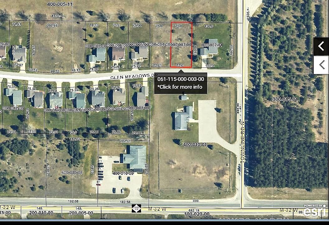 Glen Meadows Dr Gaylord, MI 49735 - Thumbnail 3