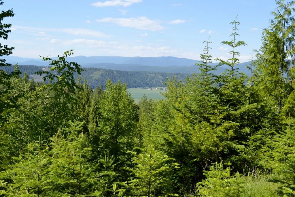 NNA Cottage Ln, Bonners Ferry, ID, 83805 - Thumbnail 3