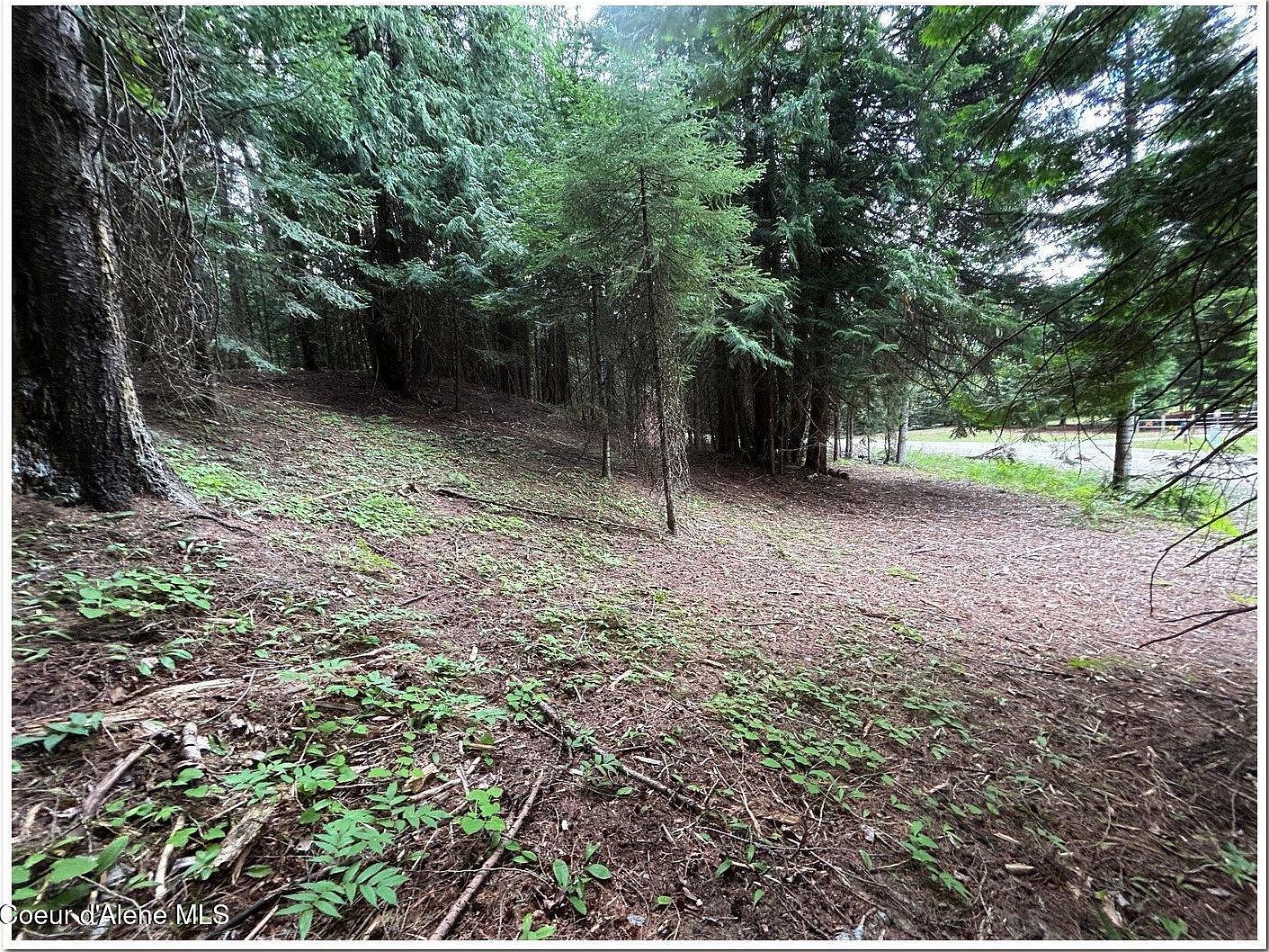 7 Fall Creek Rd #1 Naples, ID 83847 - Thumbnail 3