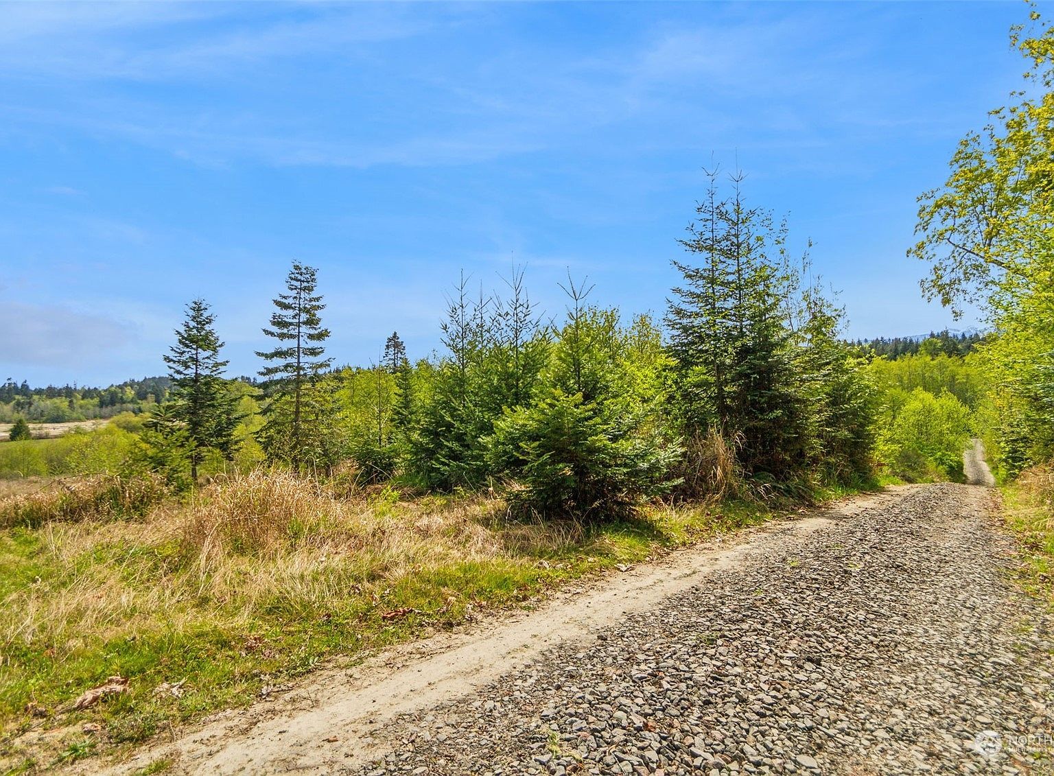 9999 N Bagley Creek Rd Pt Angeles, WA 98362 - Thumbnail 3