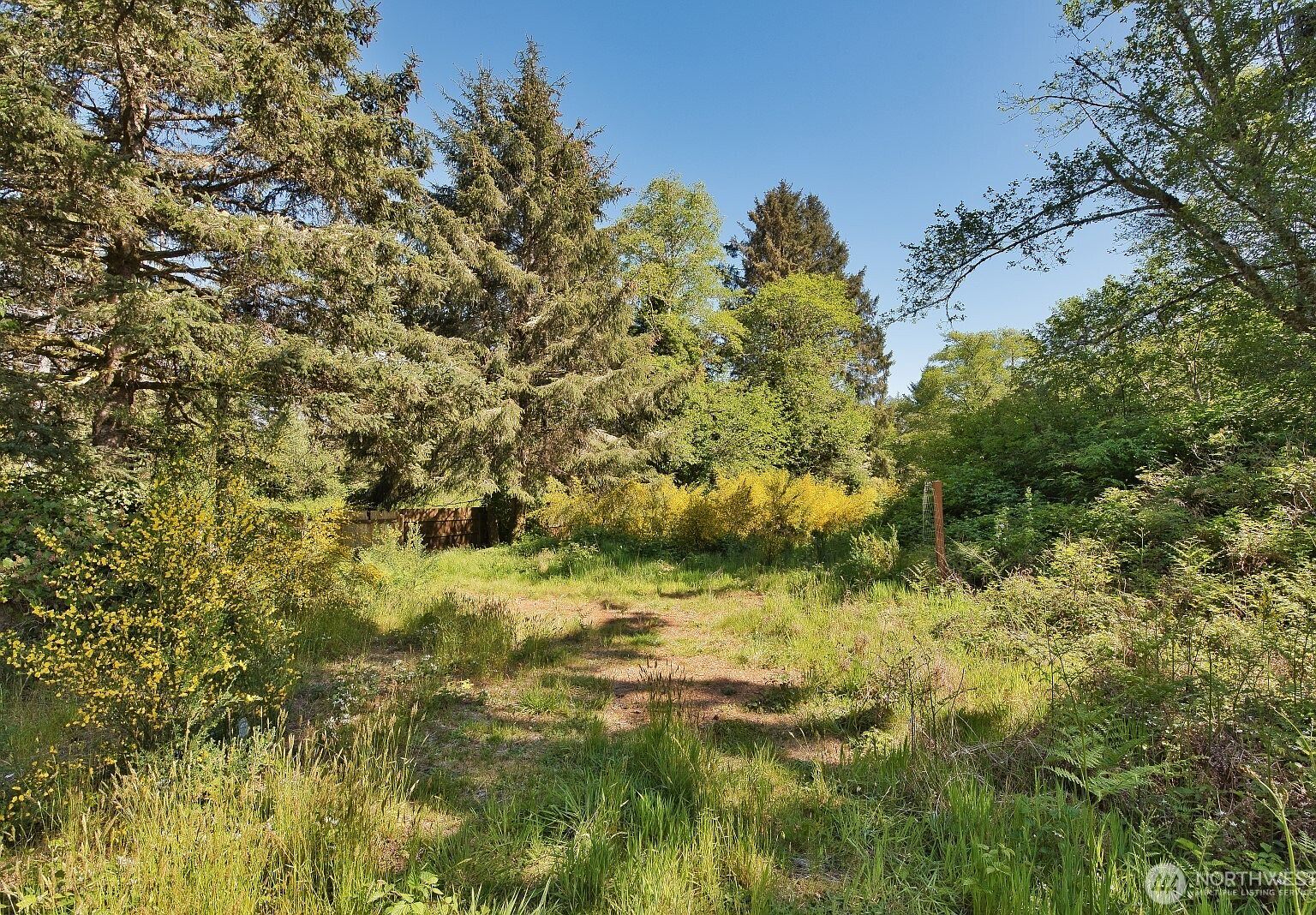 2461 State Route 109 Ocean Shores, WA 98569 - Thumbnail 3