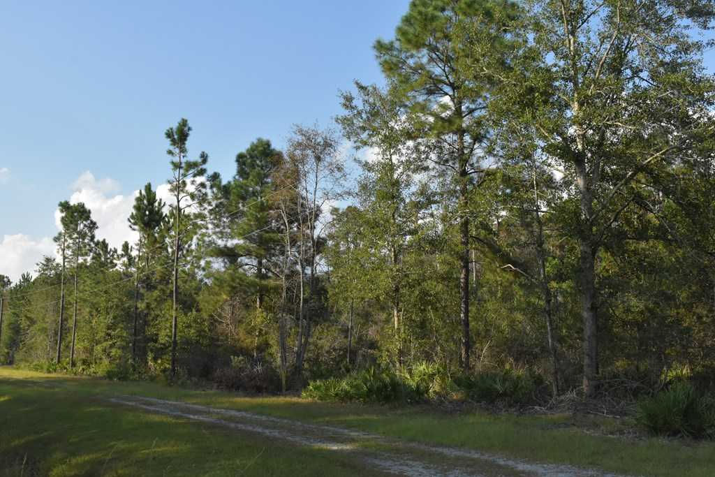 45 AC Kevin Road, Hinesville, GA, 31313 - Thumbnail 3