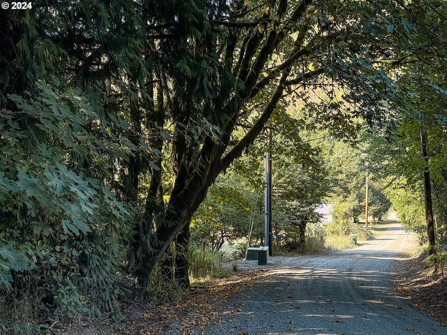 0 Mustola Rd Clatskanie, OR 97016 - Thumbnail 3