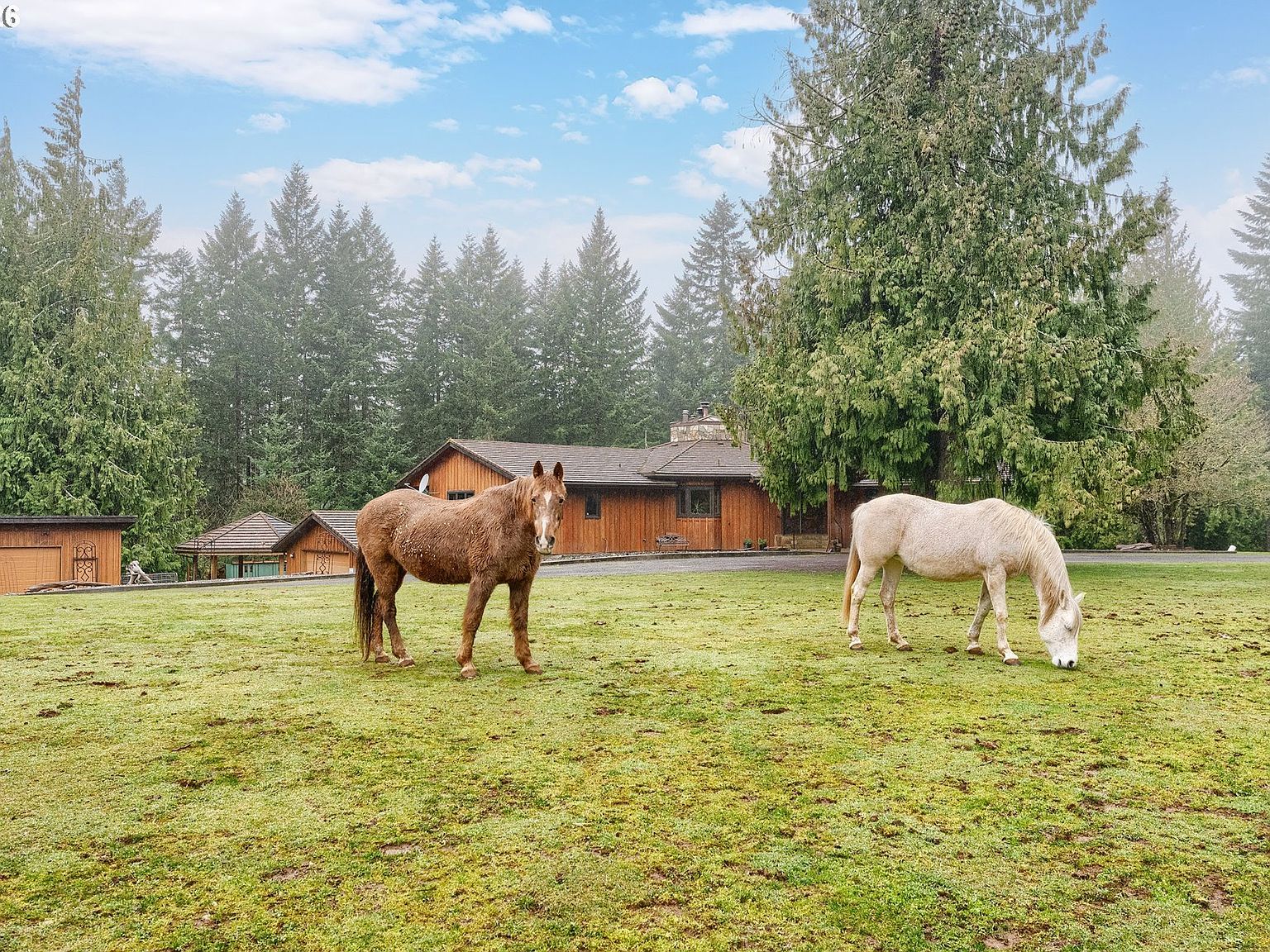 51720 NW Hayward Rd Manning, OR 97125 - Thumbnail 3