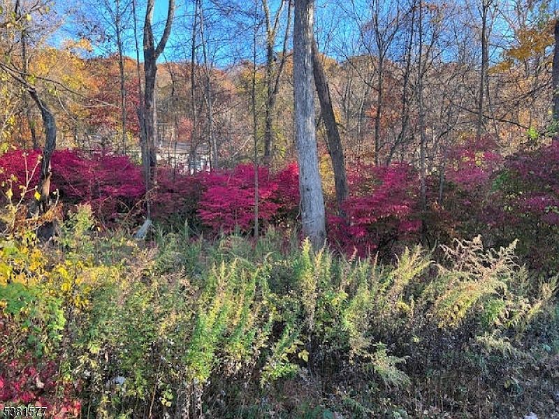 9 Old Woodland Trl Oak Ridge, NJ 07438 - Thumbnail 3