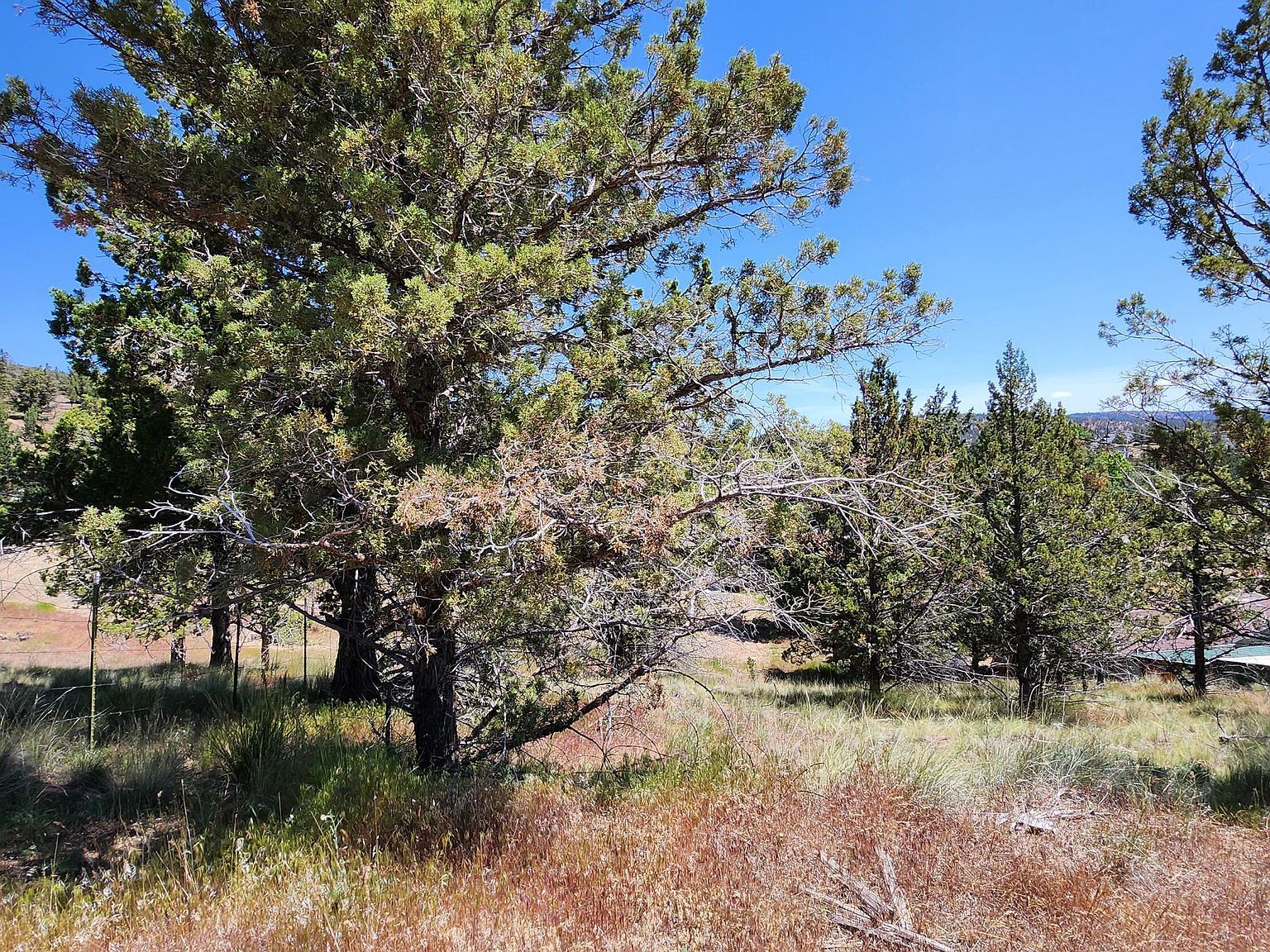 11574 NW Nye Ave Prineville, OR 97754 - Thumbnail 3