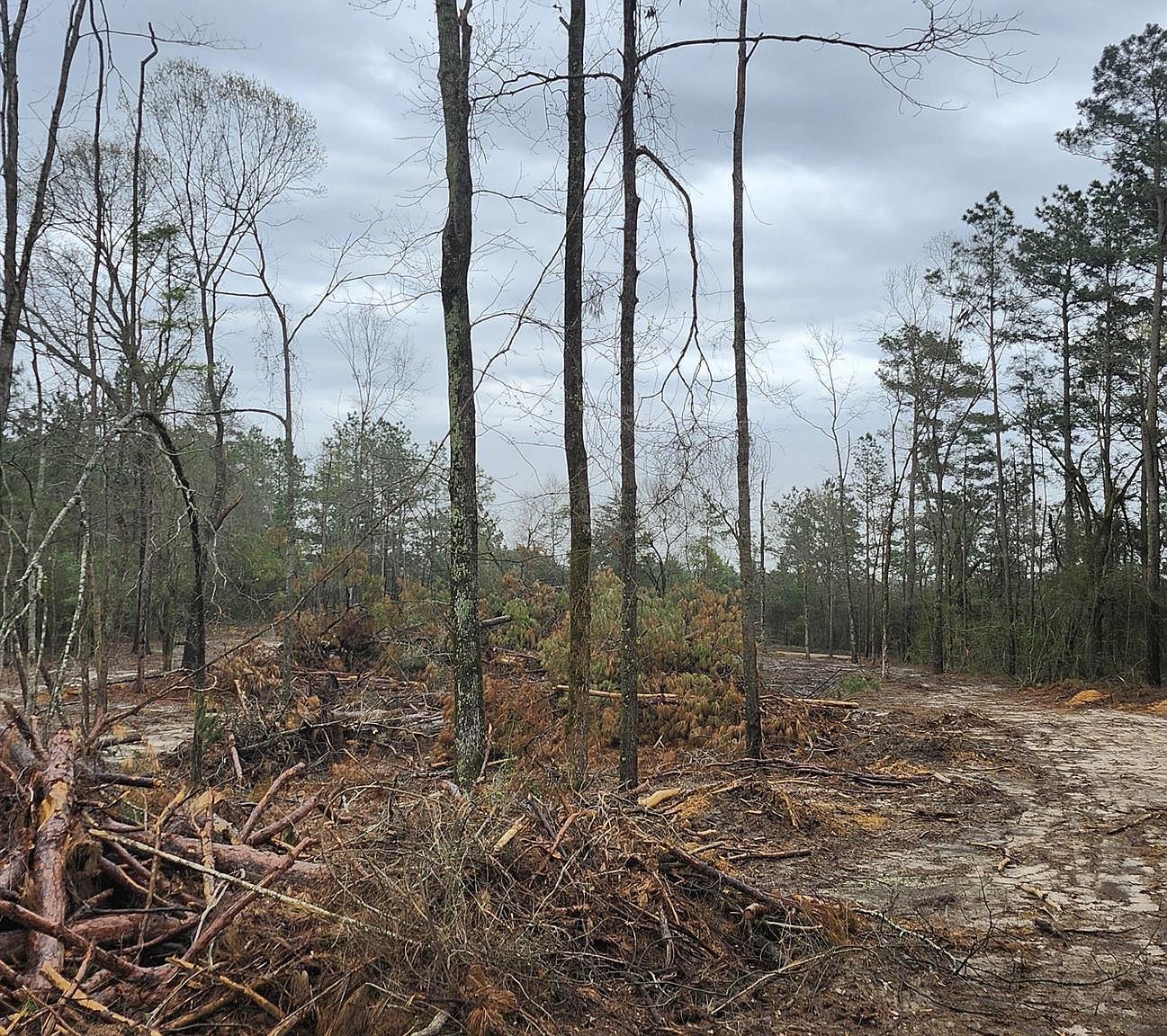 County Road 182 Timpson, TX 75975 - Thumbnail 3