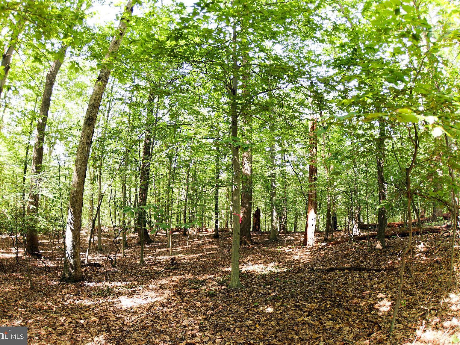 Laurel Dr Accokeek, MD 20607 - Thumbnail 3