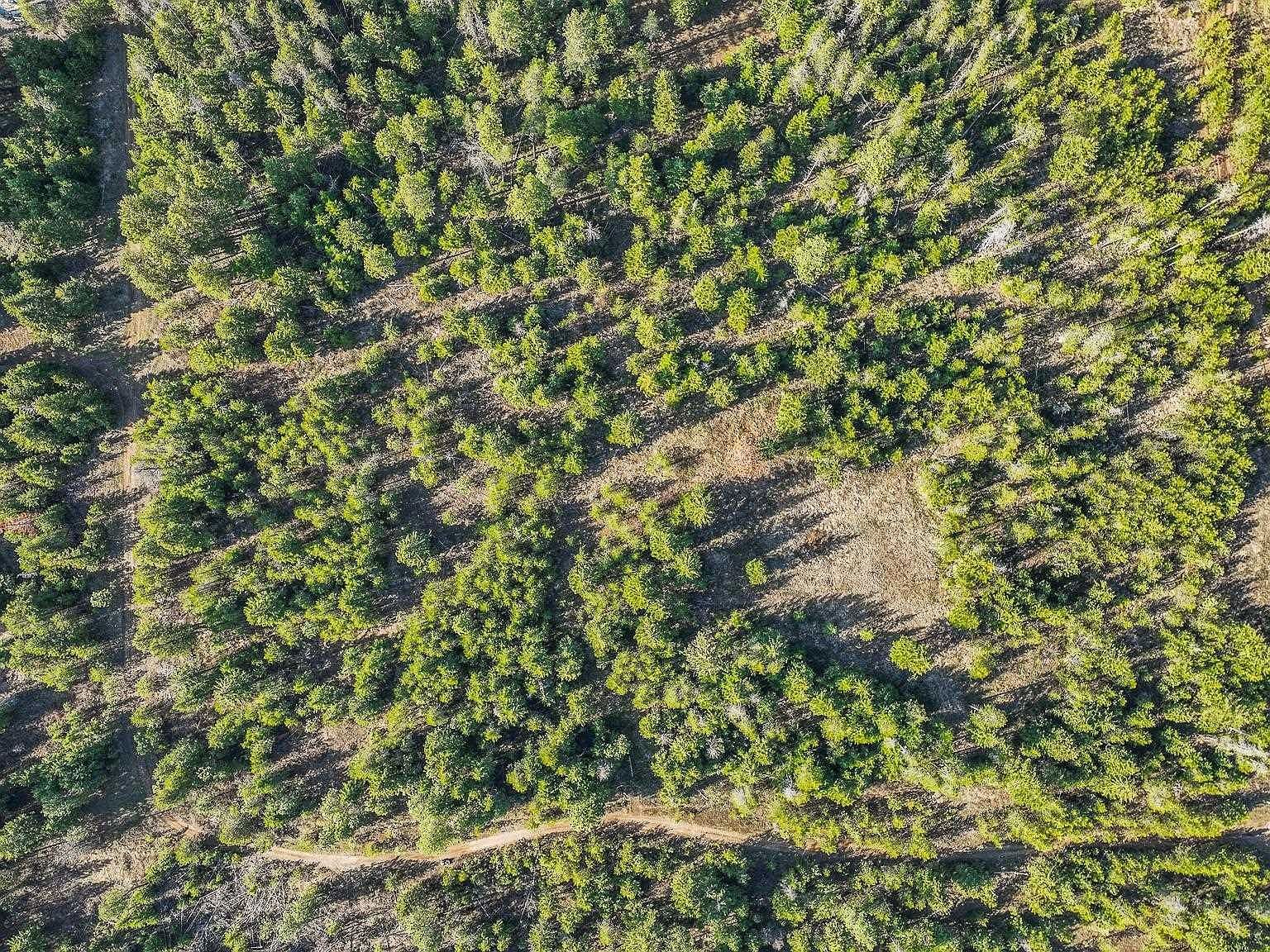 Lts 2 3 4 W Vermont St Spirit Lake, ID 83869 - Thumbnail 3