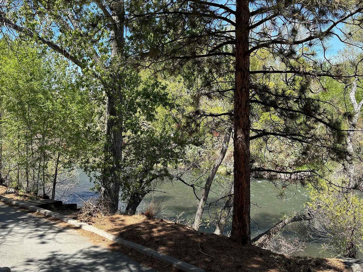 2855 Idlewild Dr APT 124 Reno, NV 89509 - Thumbnail 3