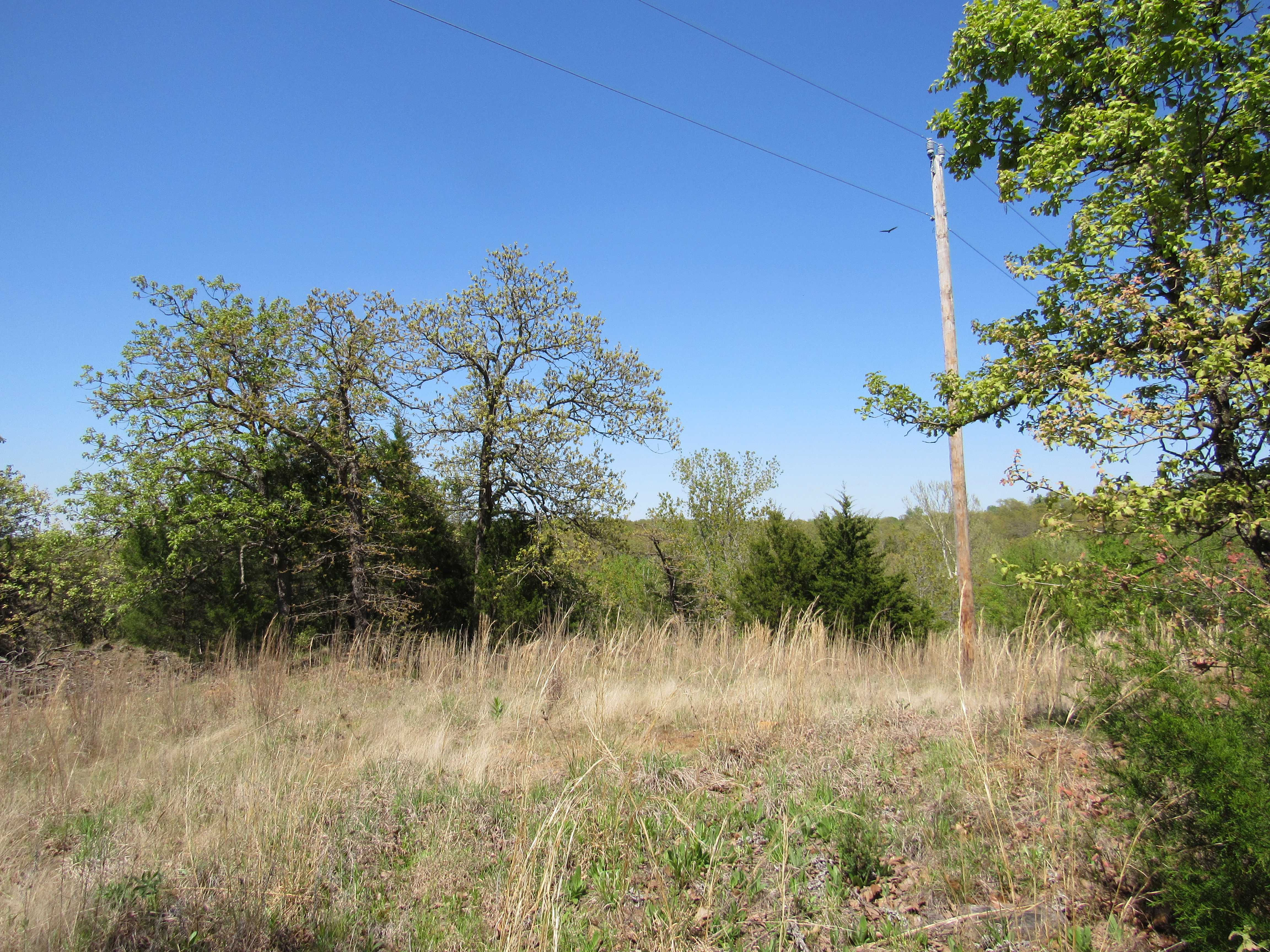 Arrowhead Drive, Sand Springs, OK, USA, 74063 - Thumbnail 3