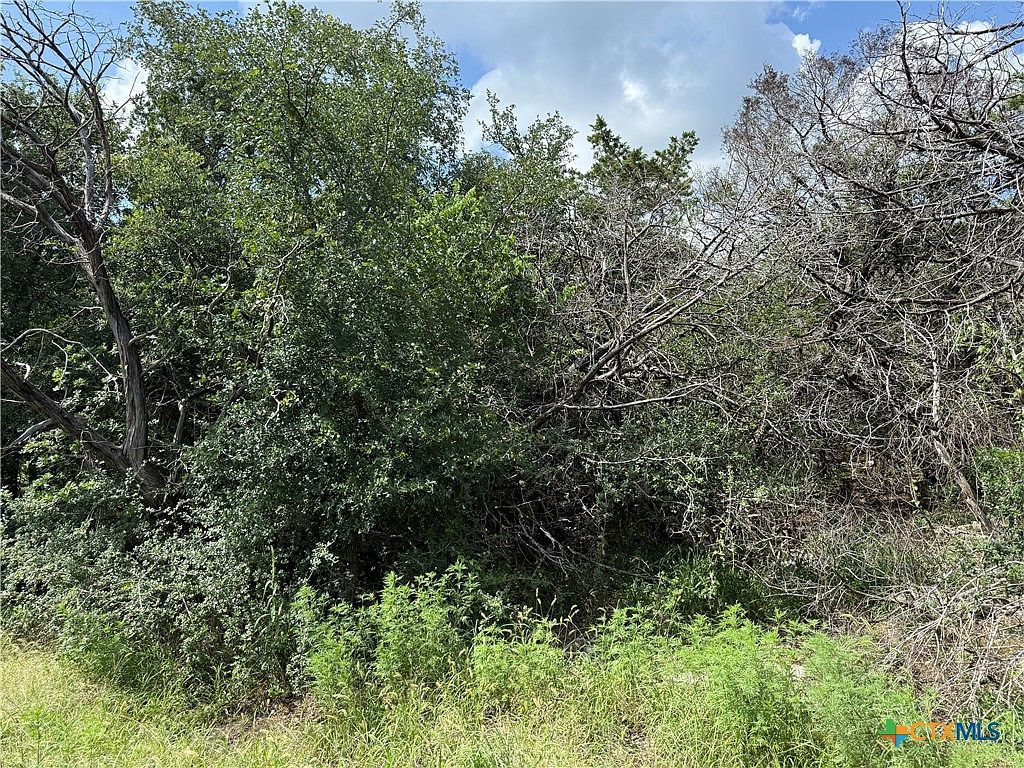 13328 Harbor Dr Temple, TX 76502 - Thumbnail 3