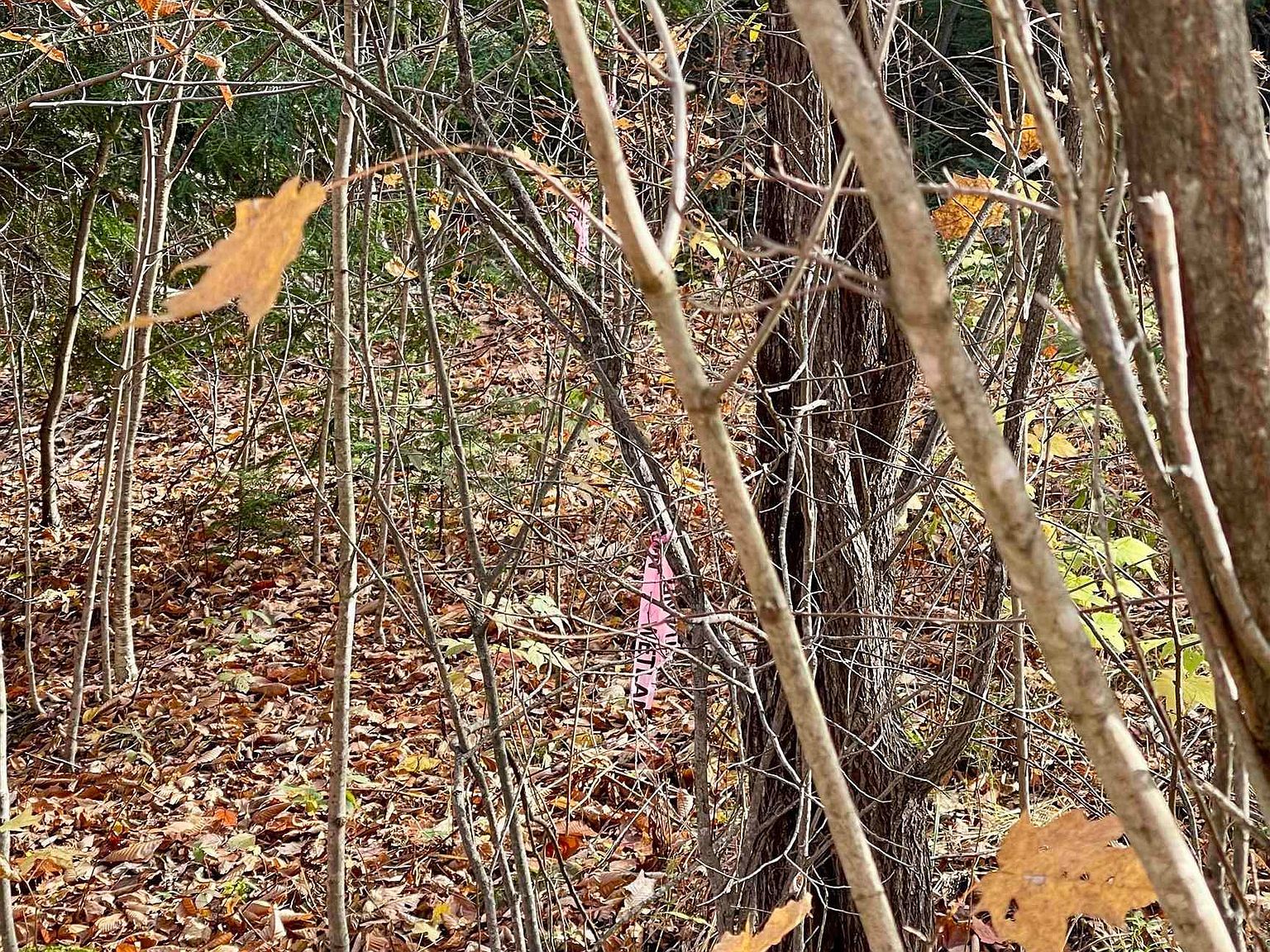 0 Foothills Dr LOT 20-R North Troy, VT 05859, North Troy, VT, 5859 - Thumbnail 3