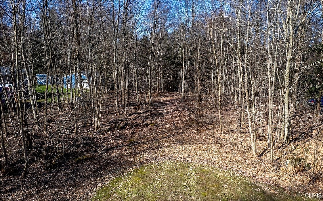 Baum Rd #6 Hastings, NY 13076 - Thumbnail 3