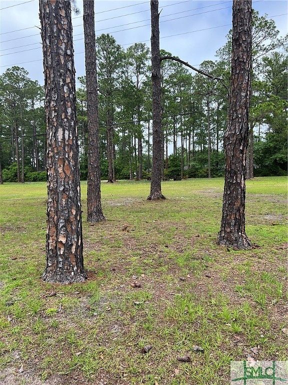 1275 Camellia Dr Pembroke, GA 31321 - Thumbnail 3