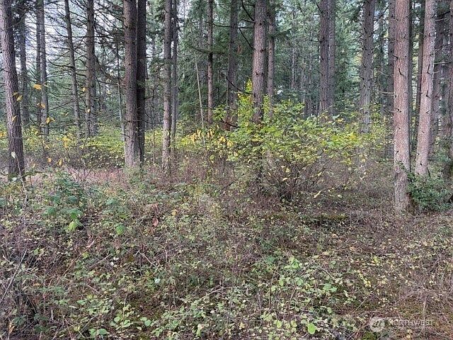 0 Xx Jasmine Ave SE Auburn, WA 98092 - Thumbnail 3