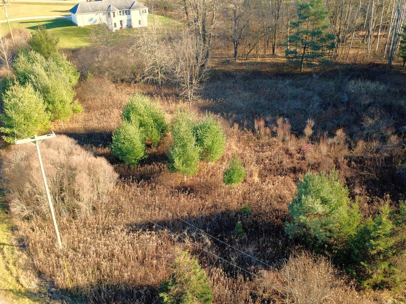 Edgewood Dr Big Rapids, MI 49307 - Thumbnail 3