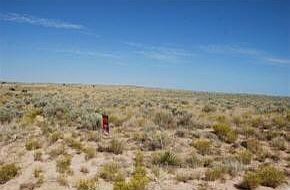 3011 Terrene Rd NE Rio Rancho, NM 87144 - Thumbnail 3