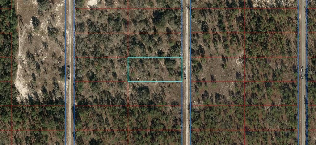 LOT 6 SE 134th Ct LOT 6 Dunnellon, FL 34431 - Thumbnail 3