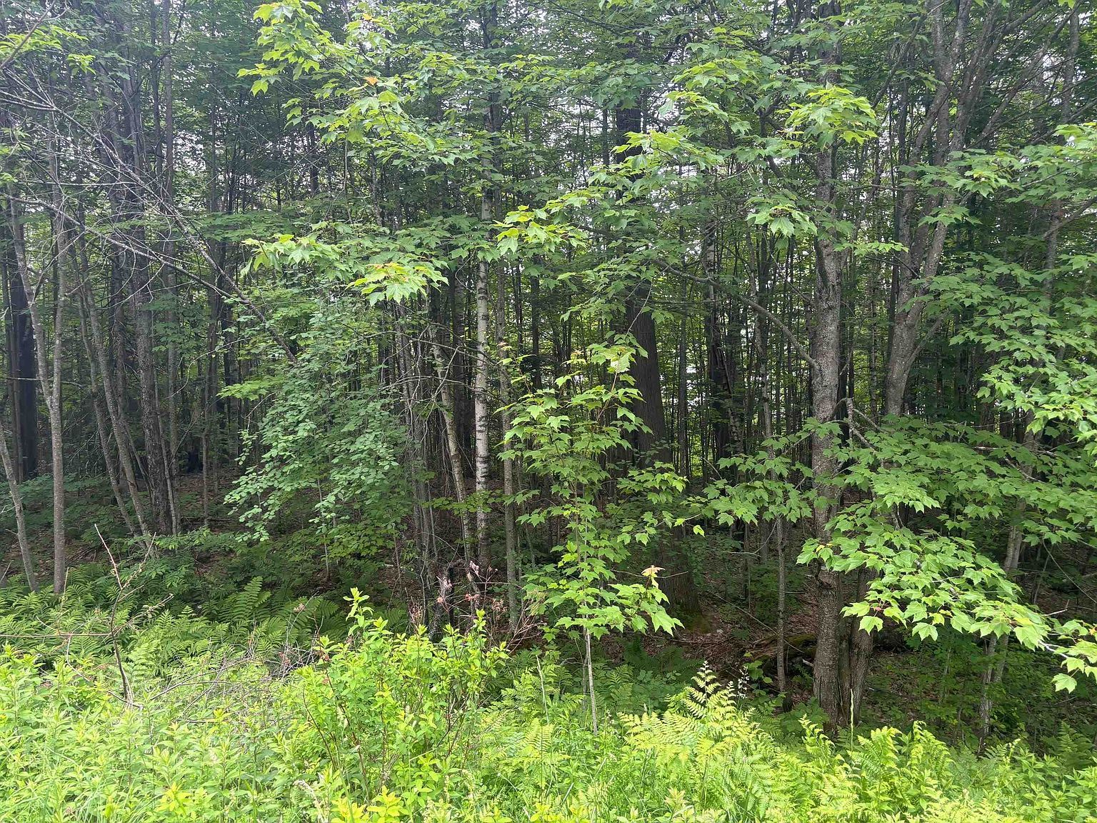 0 State Route 105 Brighton, VT 05846 - Thumbnail 3