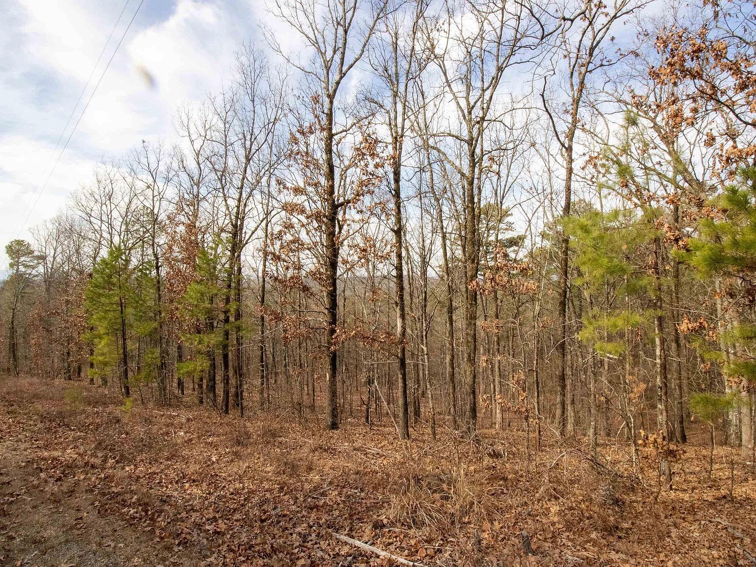 Trapp Rd North Little Rock, AR 72118 - Thumbnail 3