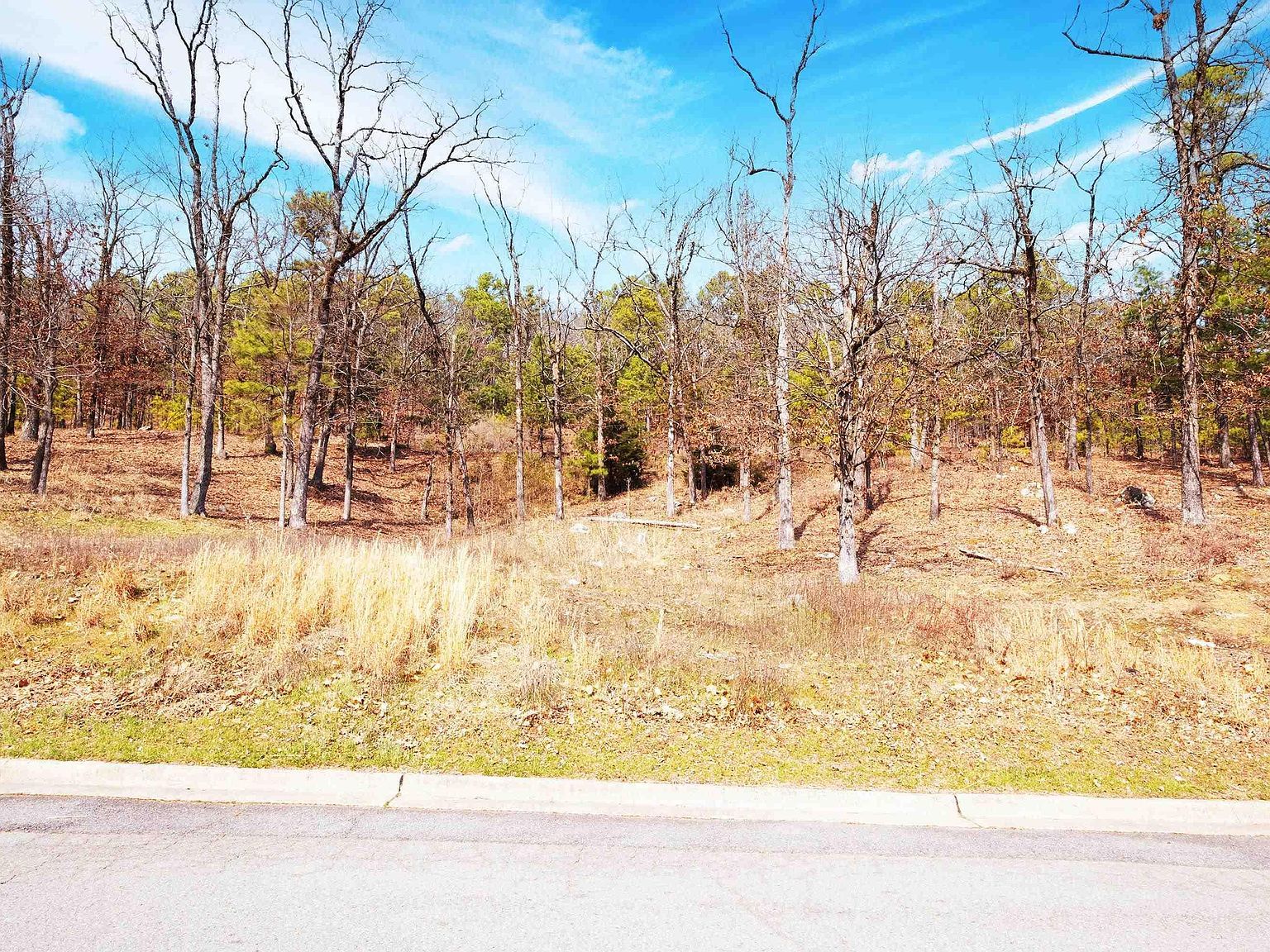 112 Turtle Creek Cv Maumelle, AR 72113 - Thumbnail 3