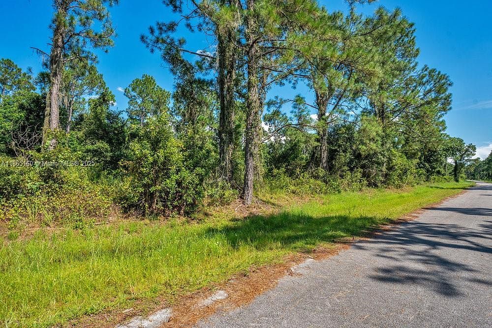 8176 Mantua Ave Sebring, FL 33872 - Thumbnail 3