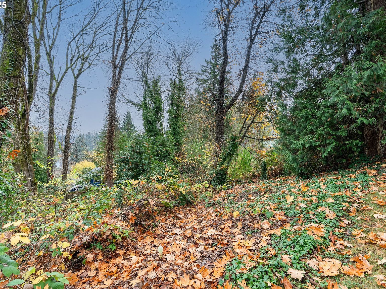 0 SE Jennings Ave Portland, OR 97267 - Thumbnail 3