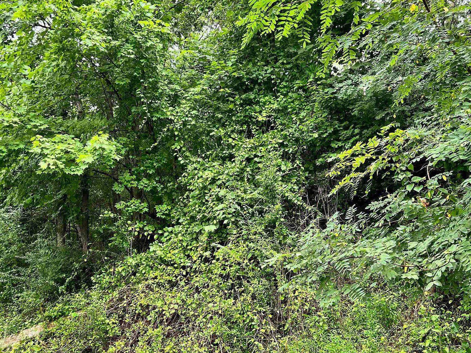 1662 Cook School Rd Huntington, WV 25701 - Thumbnail 3