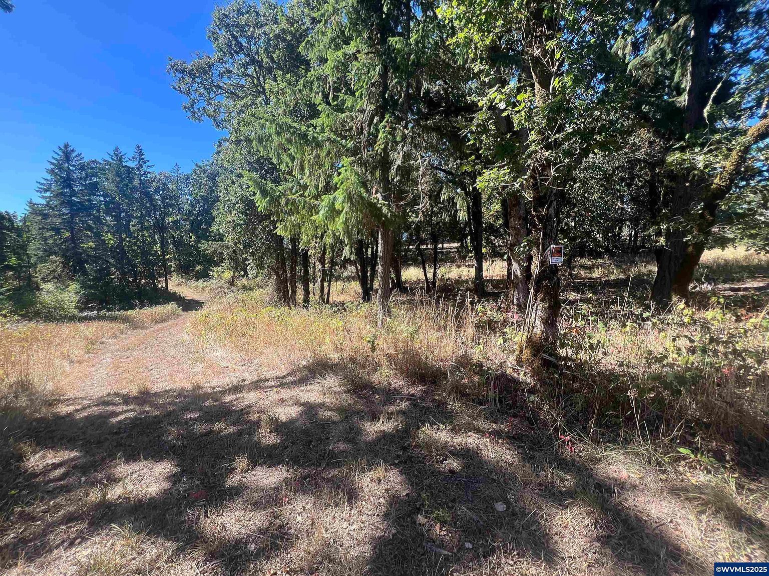 LOT 2 Orchard Knob Rd Dallas, OR 97338 - Thumbnail 3