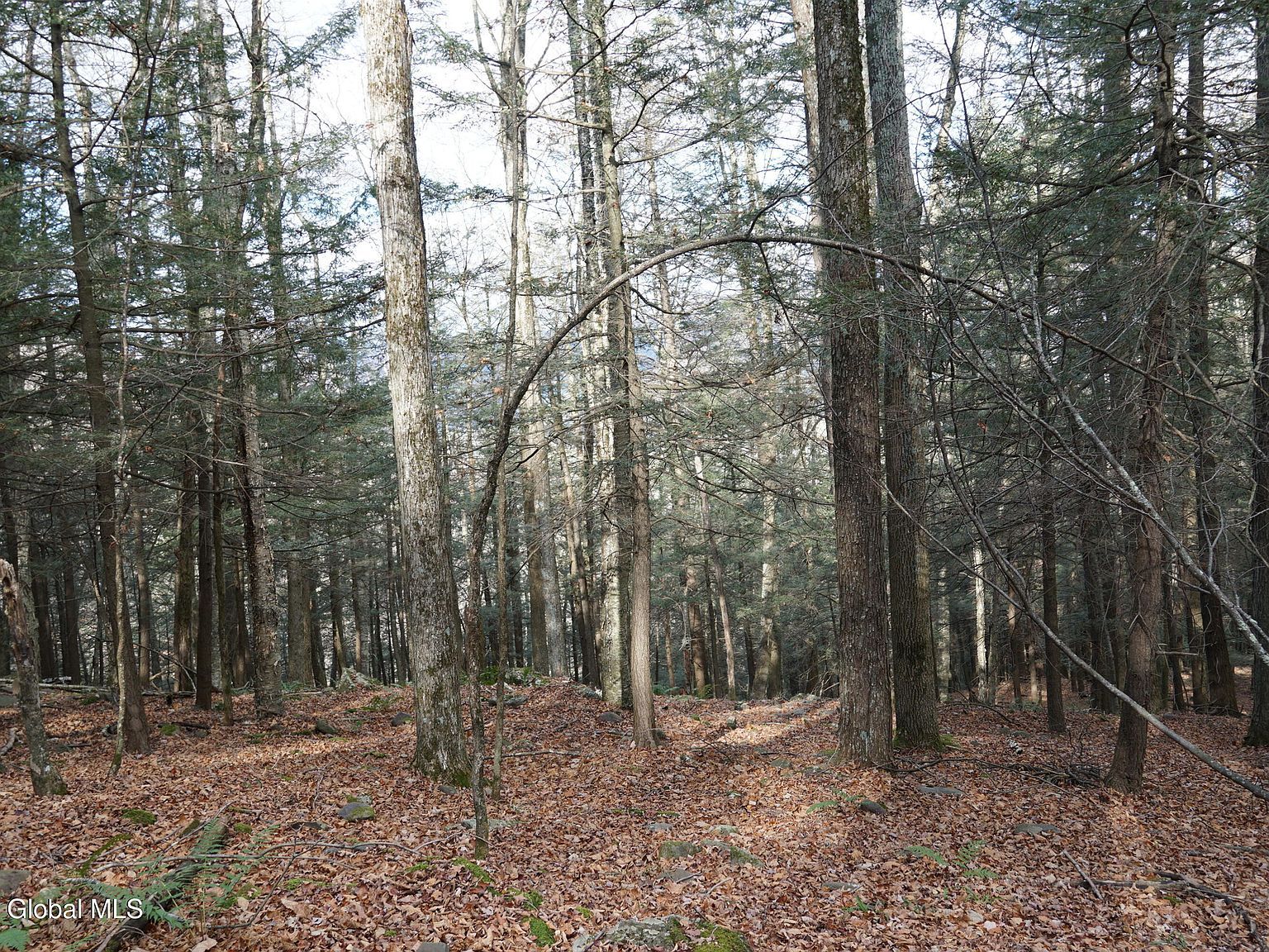 L152 Mount Eden Estates Rd West Kill, NY 12492 - Thumbnail 3