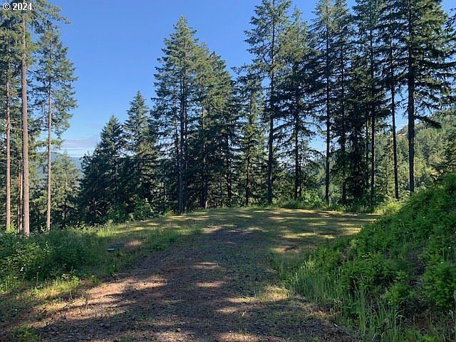 Alder Branch Rd Springfield, OR 97478 - Thumbnail 3