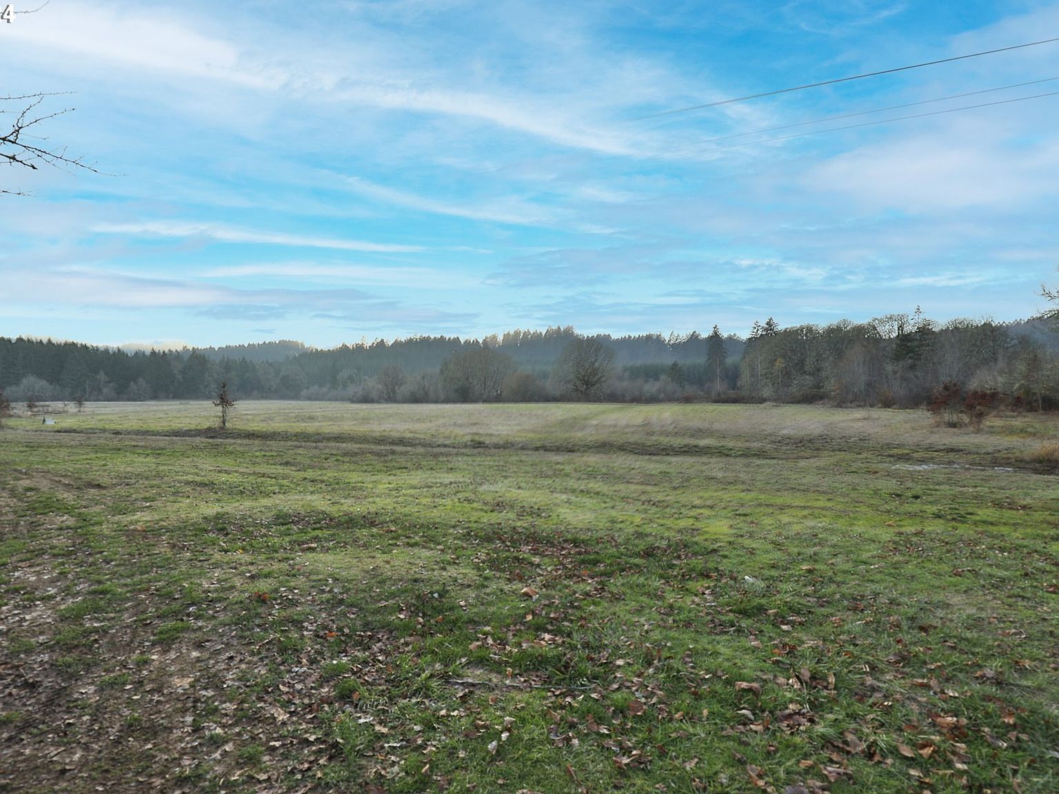 87678 Territorial Hwy Veneta, OR 97487 - Thumbnail 3