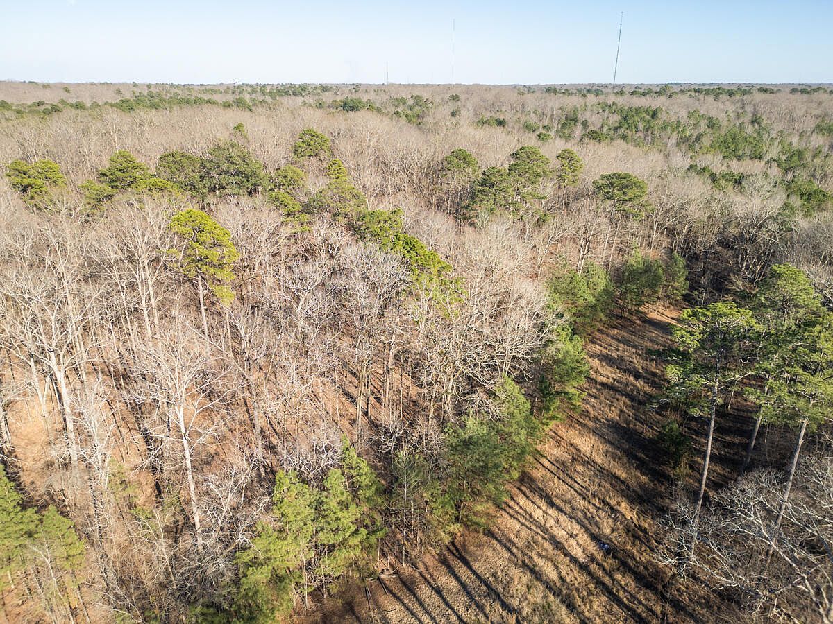 Water Oak Dr Columbus, MS 39705 - Thumbnail 3