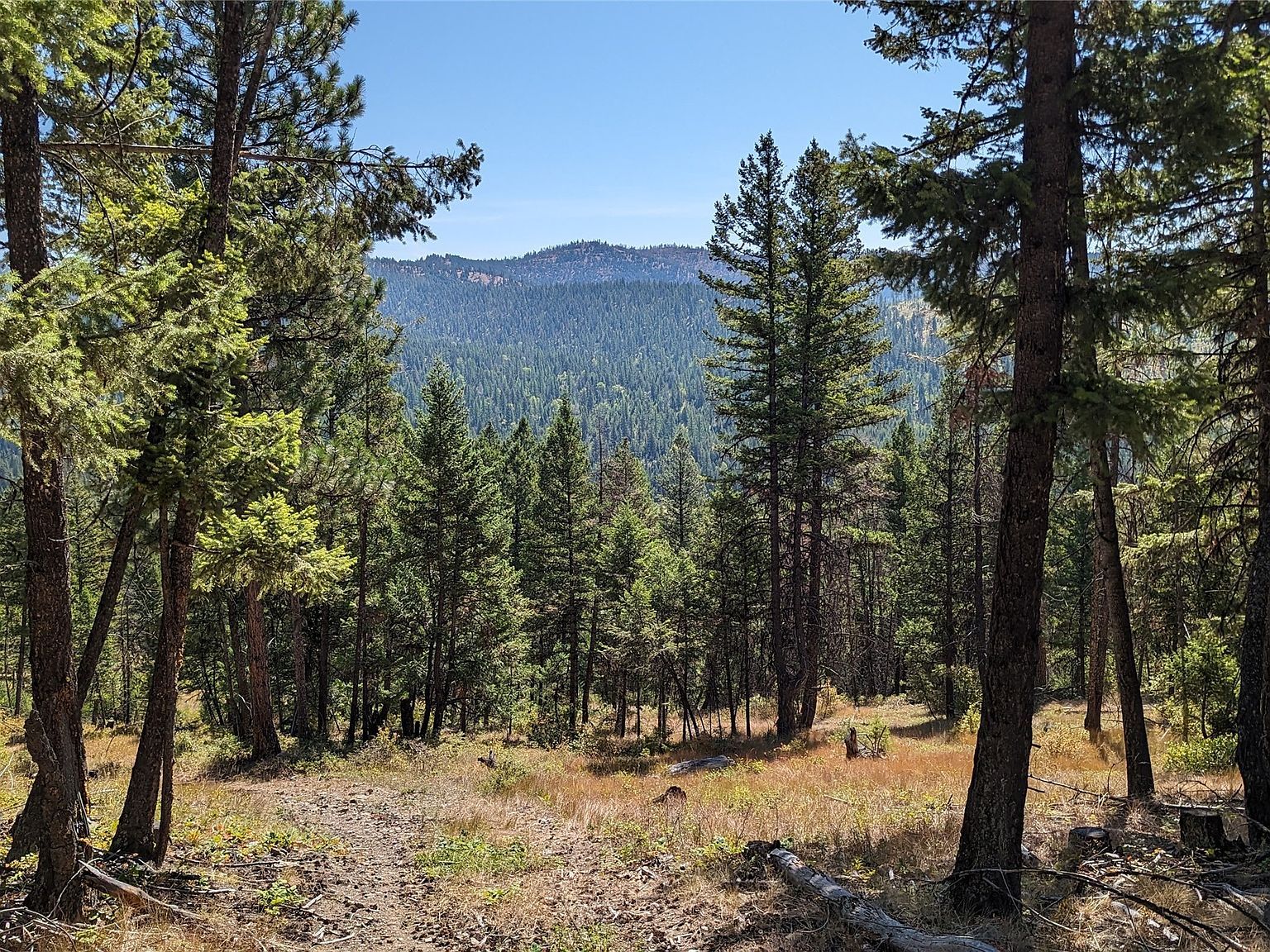 76 Hodge Rdg Kila, MT 59920 - Thumbnail 3