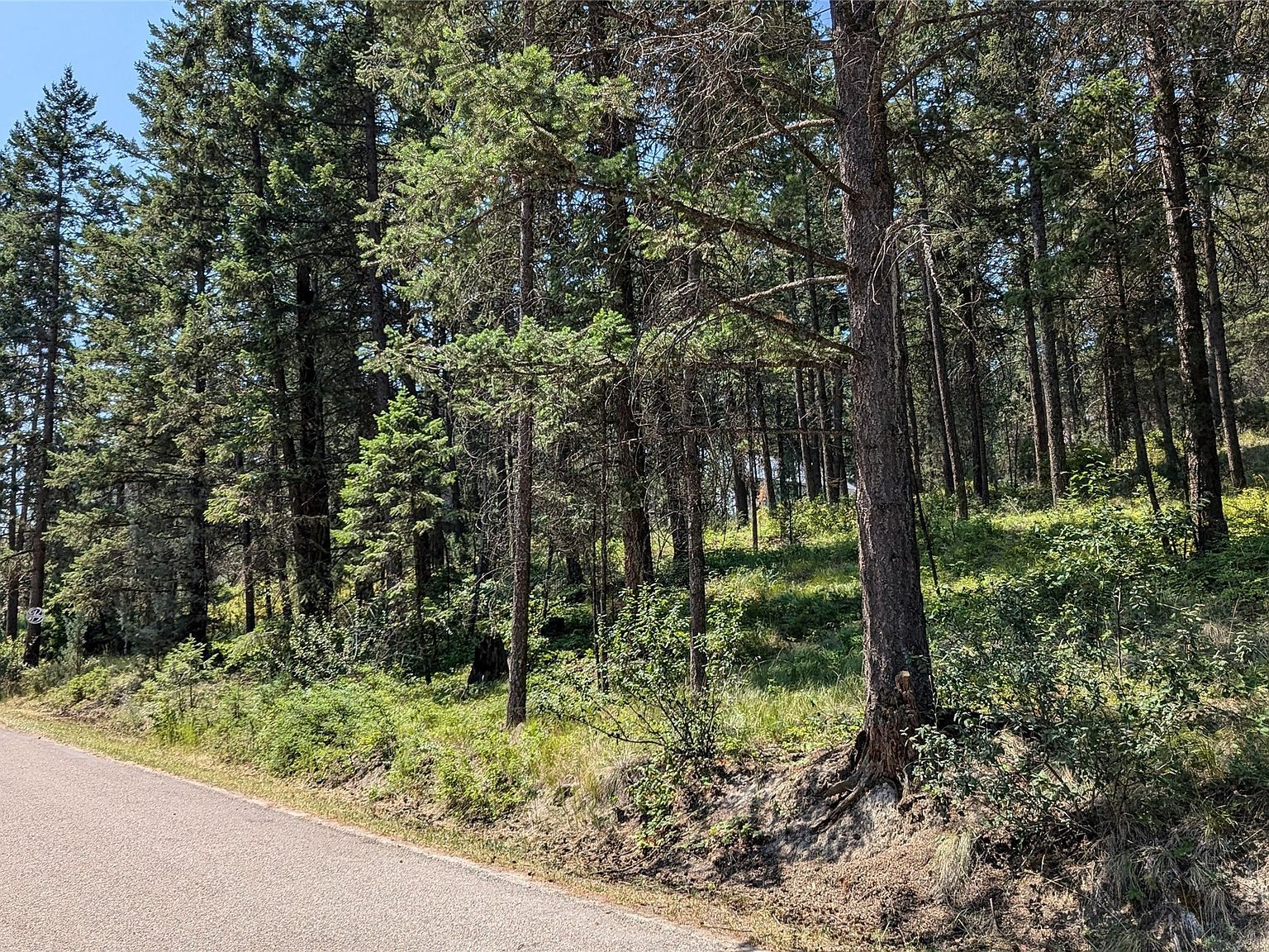 106 Timberlane Ter Lakeside, MT 59922 - Thumbnail 3